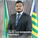 VICE PRESIDENTE: Felipe Vaz(PSL)